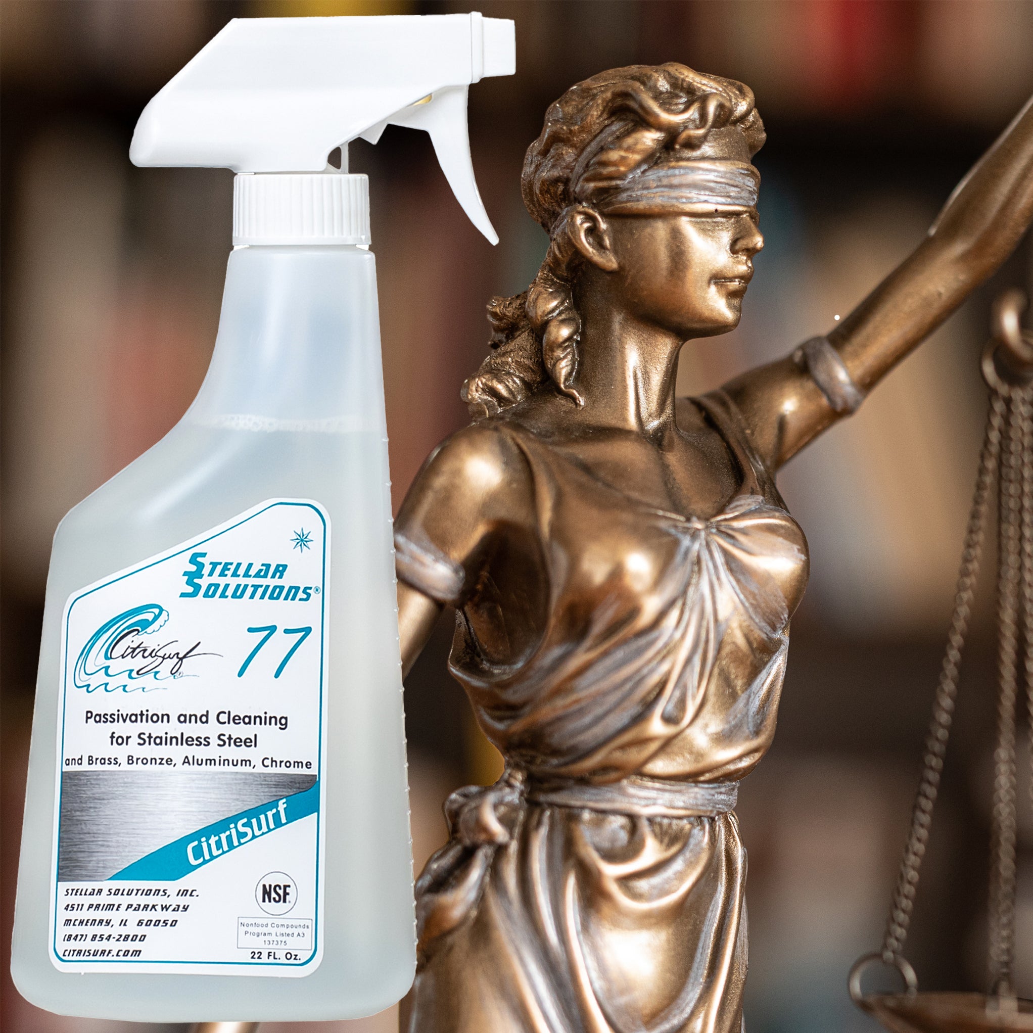 CitriSurf Brass/Bronze Cleaner — The Rust Store